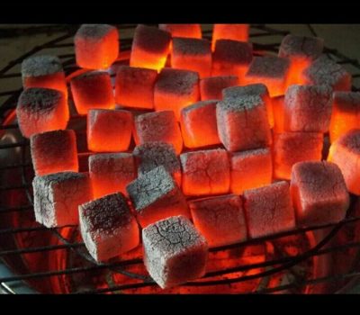 Sustainable coconut briquettes for outdoor cooking enthusiasts